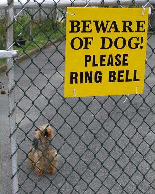 Funny-Signs-Dog-6