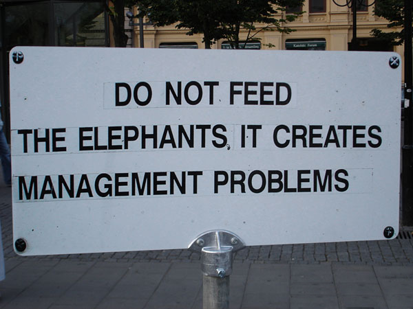 Funny-Signs-Elephants-54
