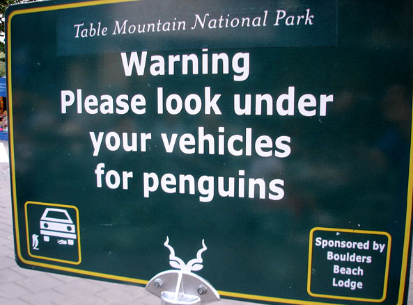 Funny-Signs-Penguins-50